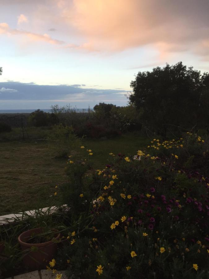 Mareulivi Bed & Breakfast Ostuni Ngoại thất bức ảnh